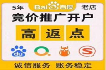 探索SEM推广代运营的奥秘：成功背后的故事